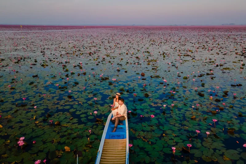 A boat crossing the Red Lotus Sea, Talay Bua Daeng, at dawn in Udon Thani, Isaan
